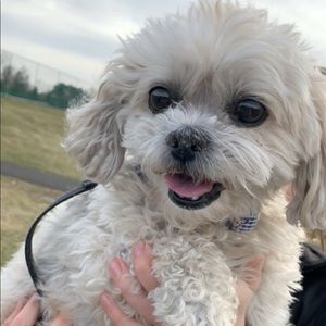 Meet your Posher, Mady